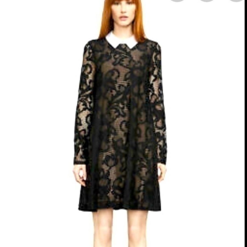 BCBGMAXAZRIA black lace with collar dress
